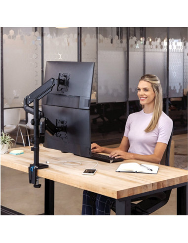 Nosač monitora Fellowes Platinum series dual Stacking 8043401