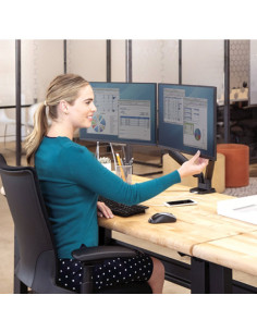 Nosač monitora Fellowes Platinum series dual 8056501 sivi 2