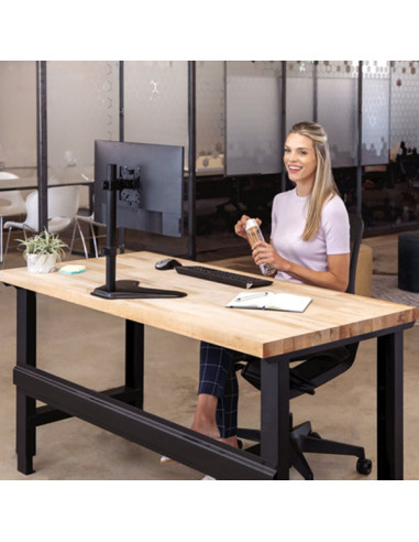 Nosač monitora Fellowes Professional Freestanding Series Single 80...