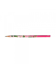 Grafitna olovka Faber Castell Cactus 2B 57000