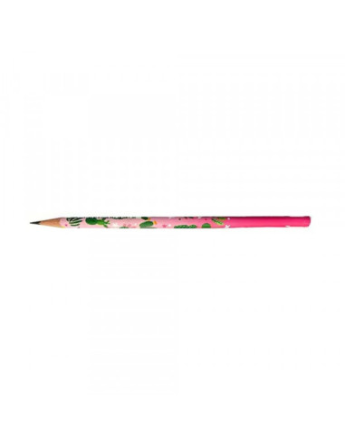 Grafitna olovka Faber Castell Cactus 2B 57000