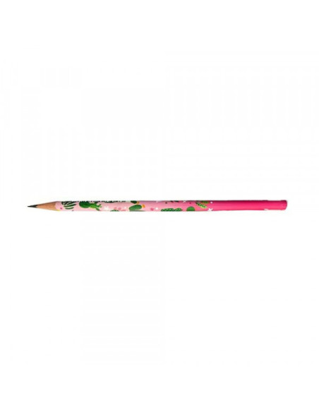 Grafitna olovka Faber Castell Cactus 2B 57000 Grafitna olovka Faber Castell Cactus 2B 57000