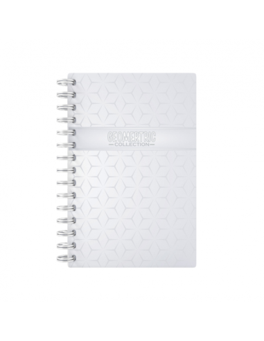 Sveska A4 Geometric spirala sk 100l (HL)