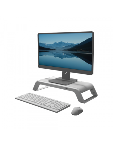 Postolje za monitor Fellowes Hana LT bela 100016997