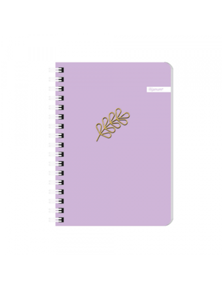 Sveska A6 Soft spirala dikto 60l