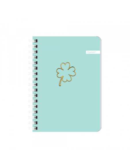 Sveska A6 Soft spirala dikto 60l