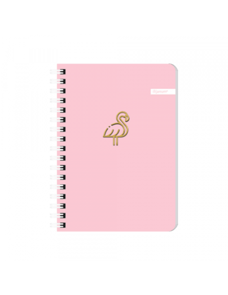 Sveska A6 Soft spirala dikto 60l