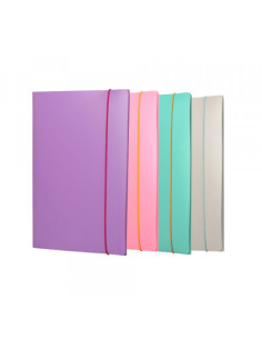 Fascikla pvc Fellowes sa gumicom 100041254 pastel 1/1