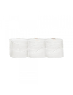 Toalet papir VERDE mini Jumbo, 300 grama, rolna 100m, 12/1