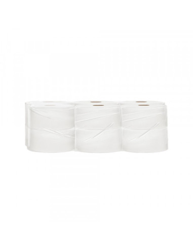 Toalet papir VERDE mini Jumbo, 300 grama, rolna 100m, 12/1