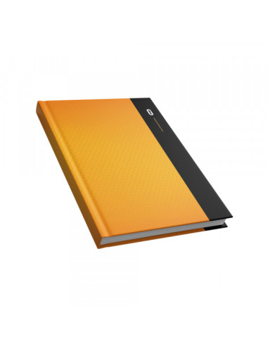 Sveska poslovna A4 TP DIORAMA dikto 80 lista