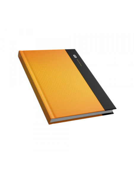 Sveska poslovna A4 TP DIORAMA dikto 80 lista