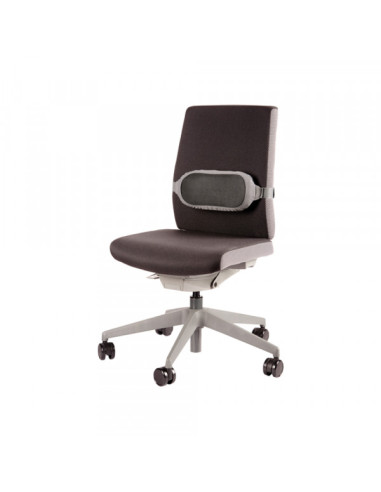 Odmarač za leđa FELLOWES I-SPIRE CUSHION 8042201