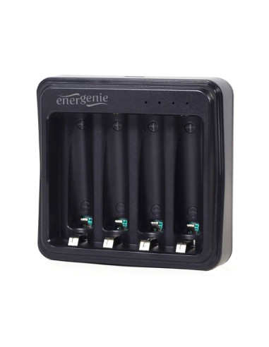 Pregradni karton A4 295x230mm 1/100 crveni intenzivni